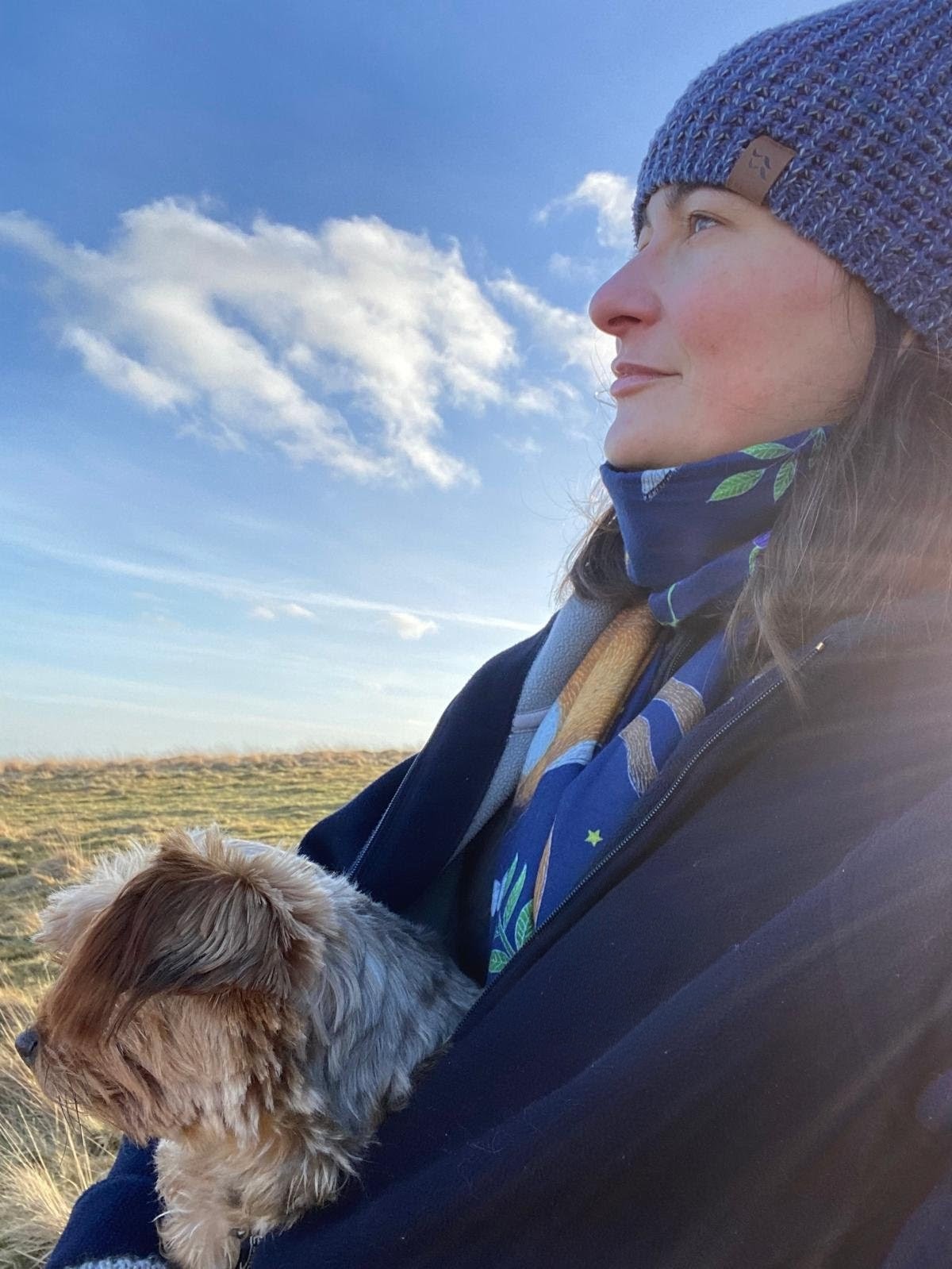 Dog out on the moors during a walk
